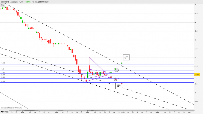 VOLUNTIS - Daily