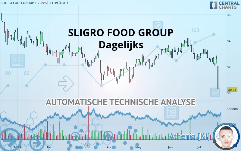 SLIGRO FOOD GROUP - Daily