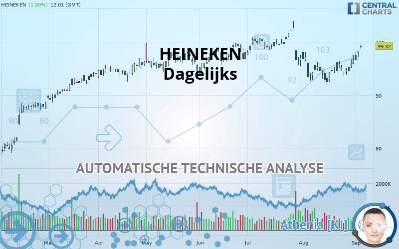 HEINEKEN - Journalier