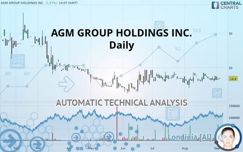 AGM GROUP HOLDINGS INC. - Daily