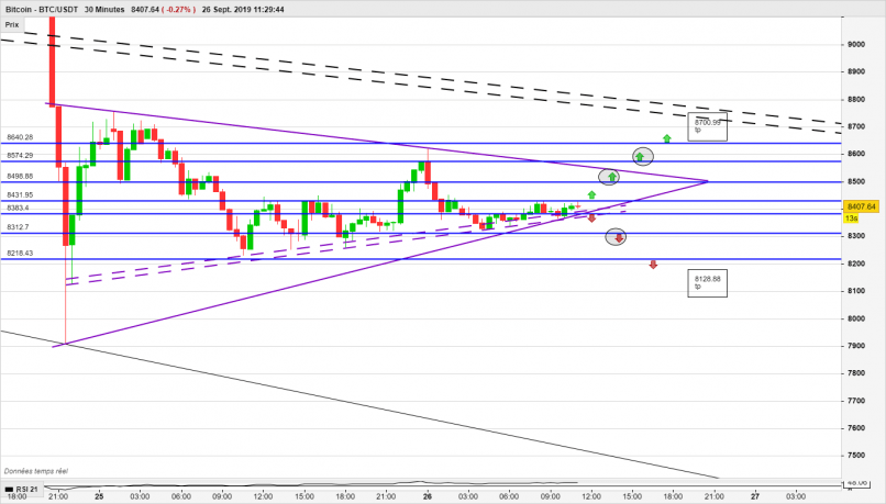 BITCOIN - BTC/USDT - 30 min.