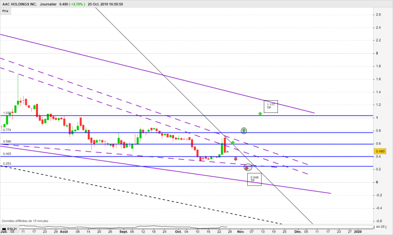 AAC HOLDINGS INC. - Journalier