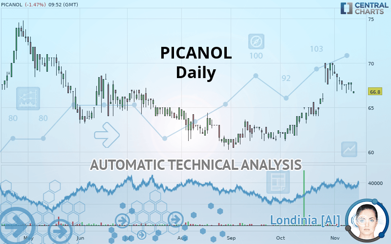 PICANOL - Daily