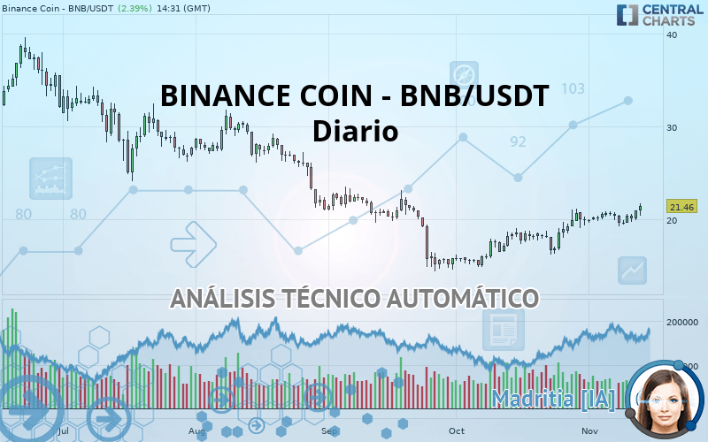 BINANCE COIN - BNB/USDT - Diario