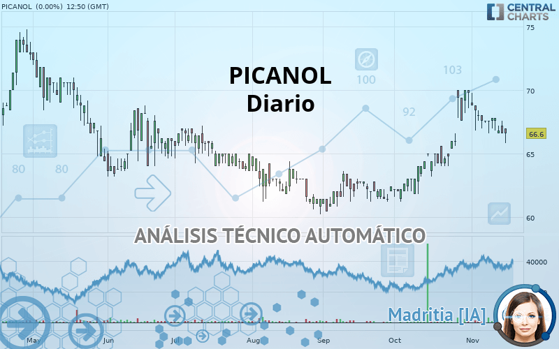 PICANOL - Diario