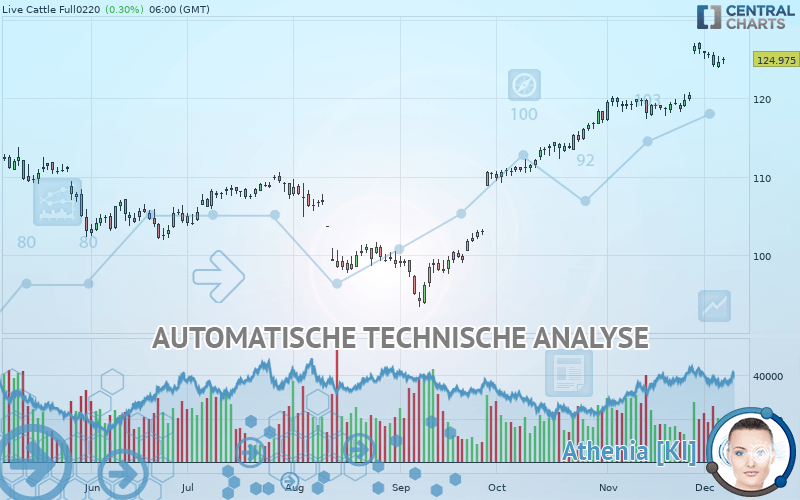 LIVE CATTLE - Täglich