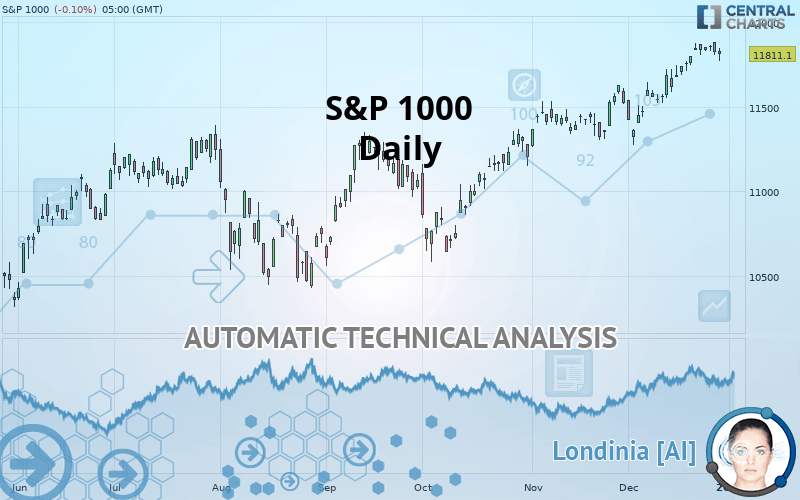 S&P 1000 - Daily