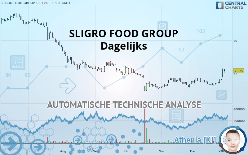 SLIGRO FOOD GROUP - Diario