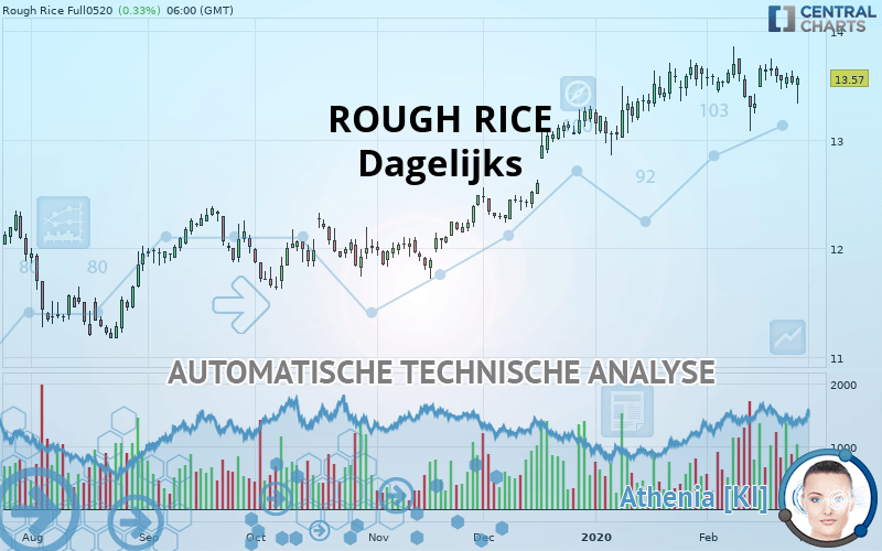 ROUGH RICE - Daily