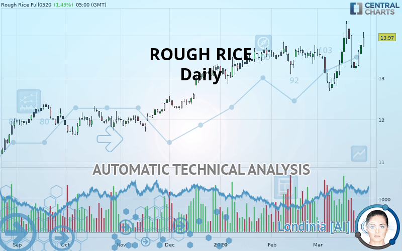 ROUGH RICE - Daily