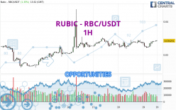 RUBIC - RBC/USDT - 1 uur