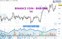 BINANCE COIN - BNB/ETH - 1H
