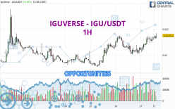 IGUVERSE - IGU/USDT - 1H