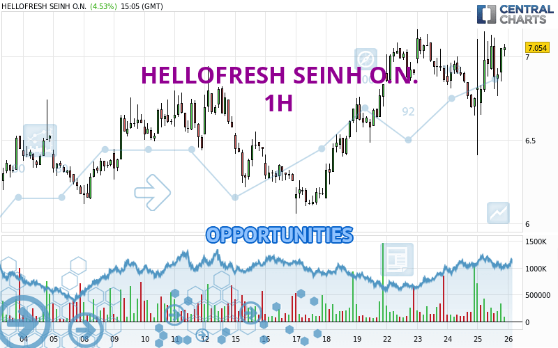 HELLOFRESH SEINH O.N. - 1H
