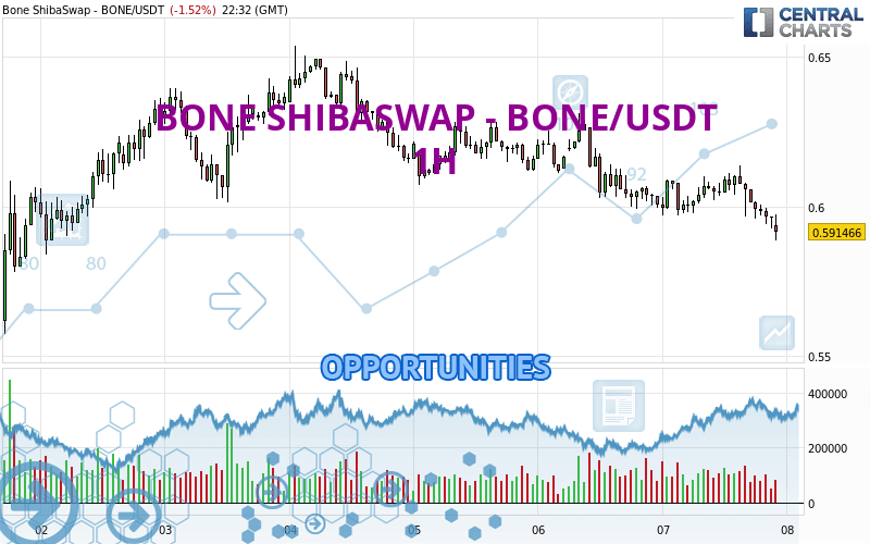 BONE SHIBASWAP - BONE/USDT - 1H
