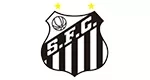SANTOS FC FAN TOKEN