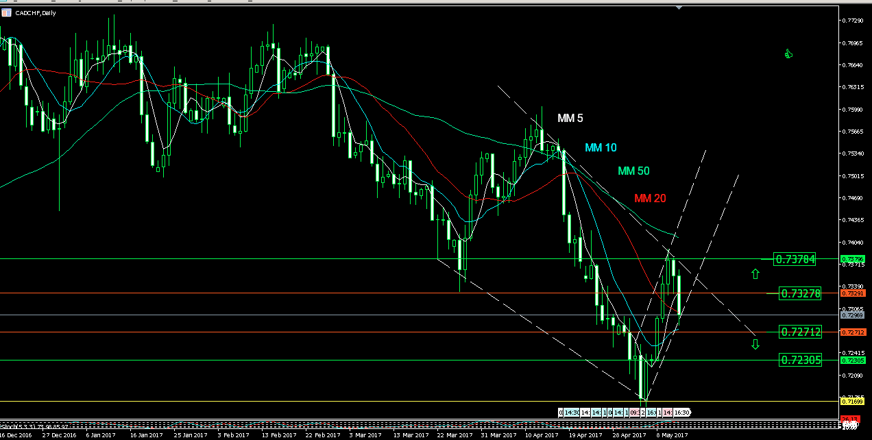 Live Forex Chart Widget