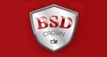 B.S.D CROWN LTD ORD NIS0.01 (DI)