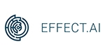 THE EFFECT NETWORK